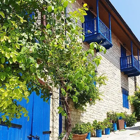 Nest * Árszosz